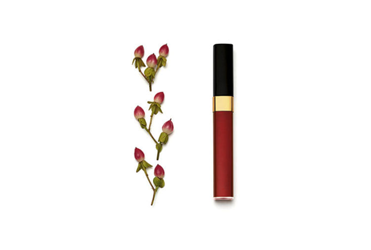 Chanel Levres Scintillantes in #212 Chene Rouge ($45)