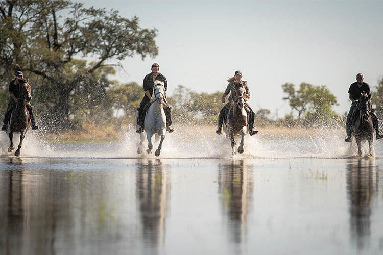 Exploring the plains of Botswana on horseback