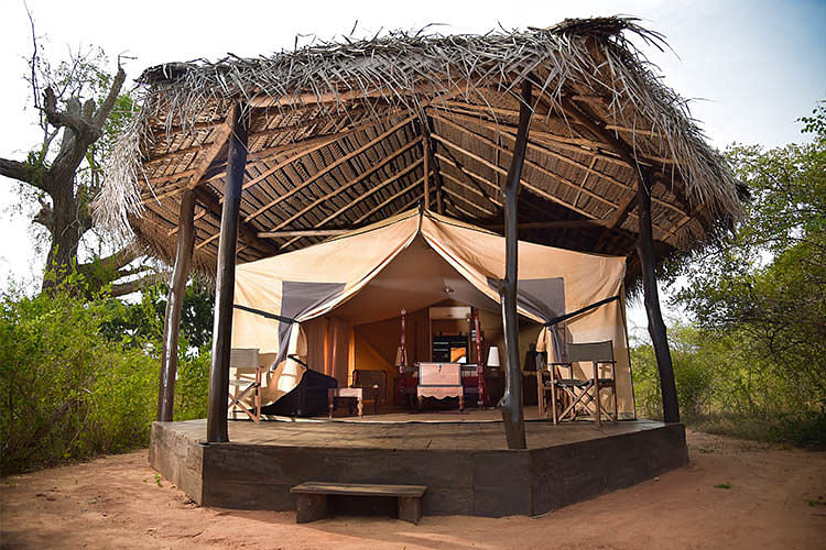 The tents, like the Tusker Tent, are built on sturdy wooden platforms, giving you sort of a tree-house feel (almost) in the woods